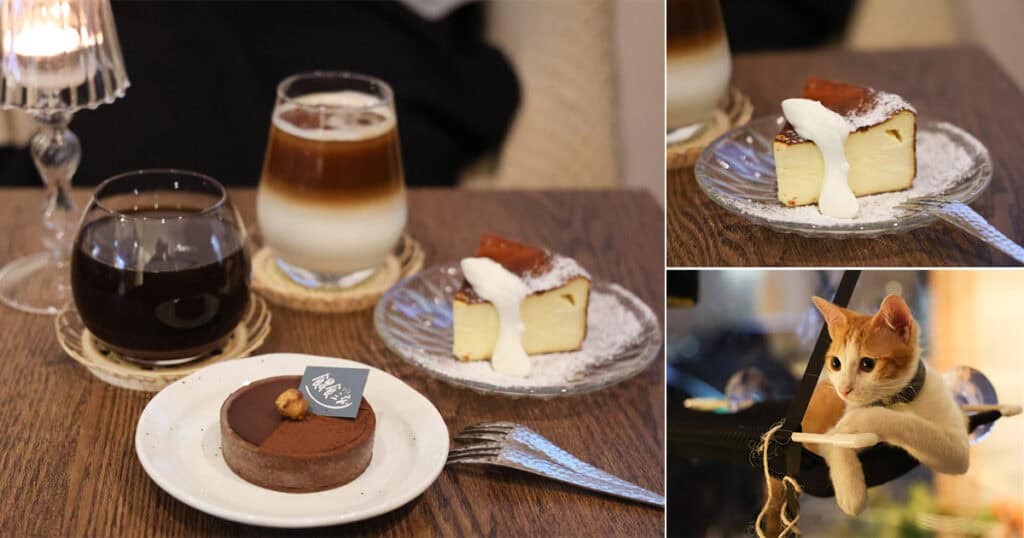 20220315113702_17 餵食三刻