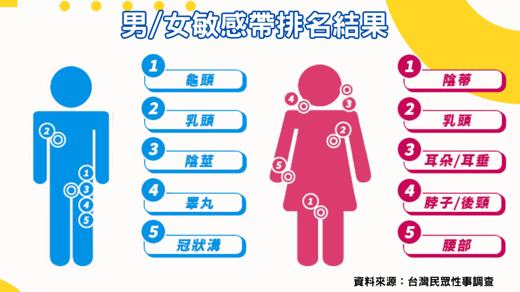 男女敏感帶排名結果