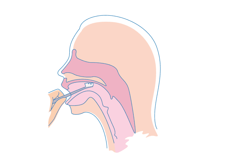 牙刷降低嘔吐反應